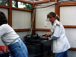 Kartoffelfest 1996