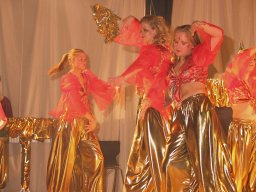 Kappensitzung 2004