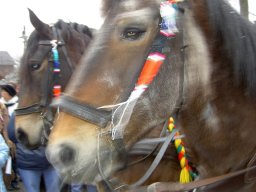 Umzug in Könen 2005