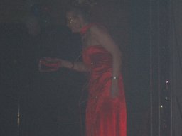 Kappensitzung 2008
