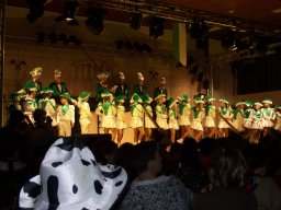 Kappensitzung 2009