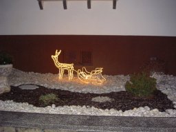 Nikolausfeier 2010