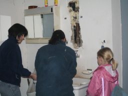 Wagenbau 2010