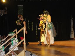 Kappensitzung 2011