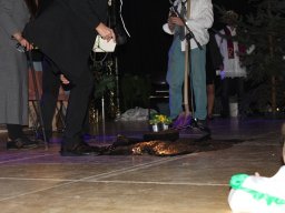 Kappensitzung 2011
