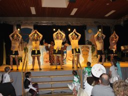 Kappensitzung 2011
