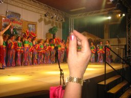 Kappensitzung 2011
