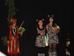 Kappensitzung 2012