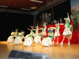 Kappensitzung 2013