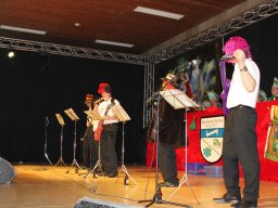 Kappensitzung 2013