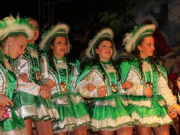 Kappensitzung 2013