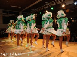 Kappensitzung 2014