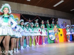 Kappensitzung 2015