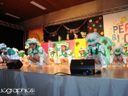 Kappensitzung 2015