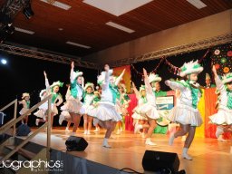 Kappensitzung 2015