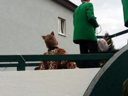 Umzug in Wasserliesch 2017