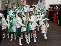 Umzug in Wasserliesch 2017