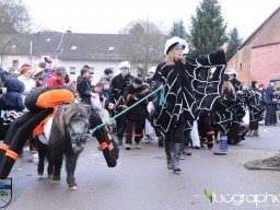Umzug in Könen 2018